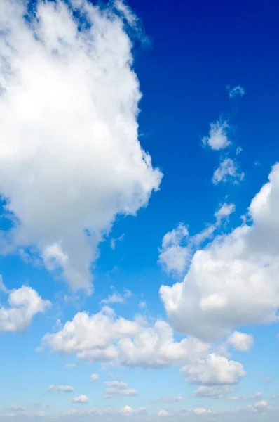 Bos van de wolken — Stockfoto