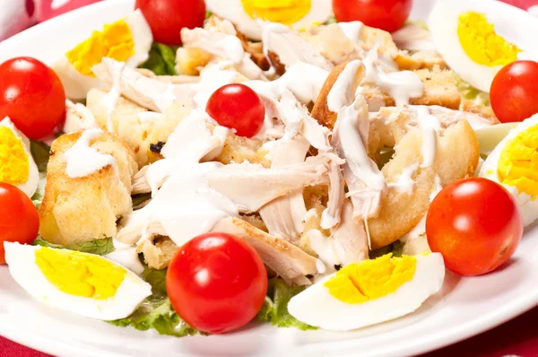 Chicken salad — Stock Image Chicken salad Royalty Free Stock Photos