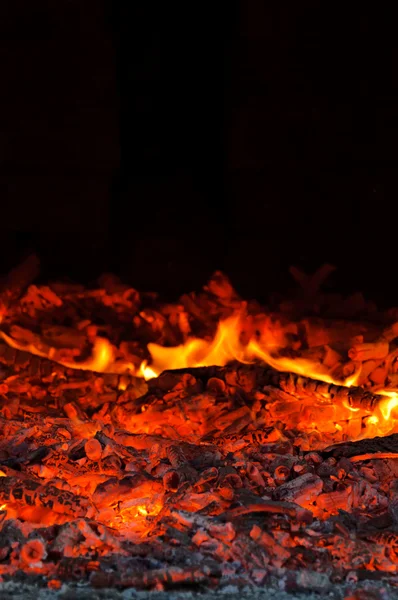 Carvão de char — Fotografia de Stock