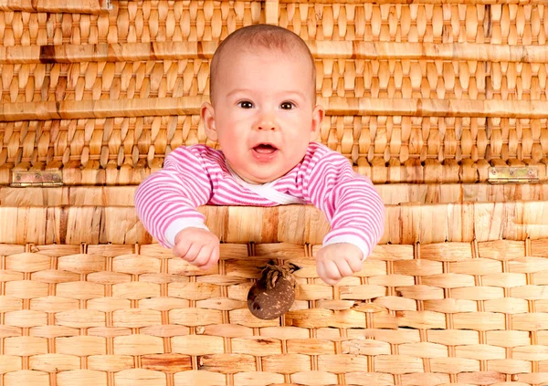 Baby fist — Stock Photo, Image