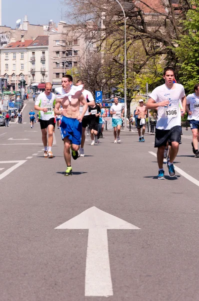 Belgradin maraton — kuvapankkivalokuva