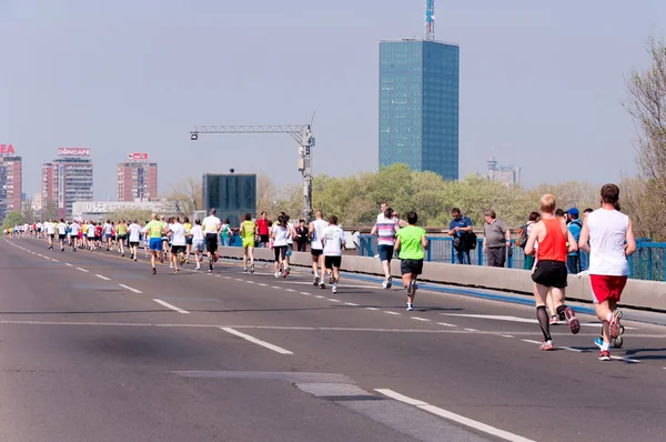 Belgrad Maratonu — Stok fotoğraf