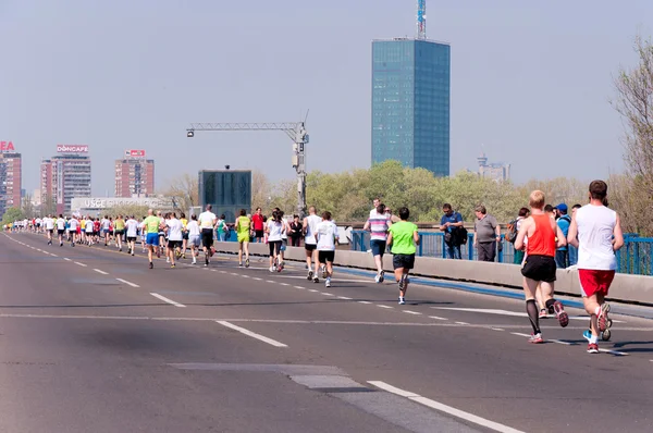 Belgradin maraton — kuvapankkivalokuva