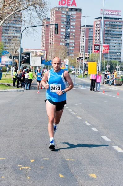 Maratona de Belgrado — Fotografia de Stock