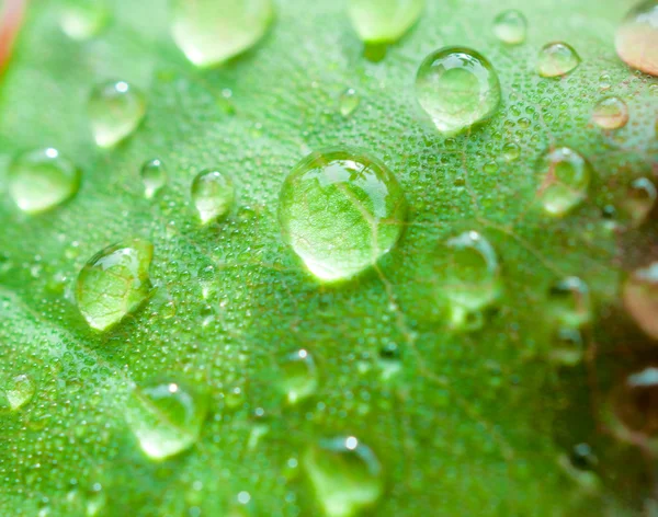 Wassertropfen — Stockfoto