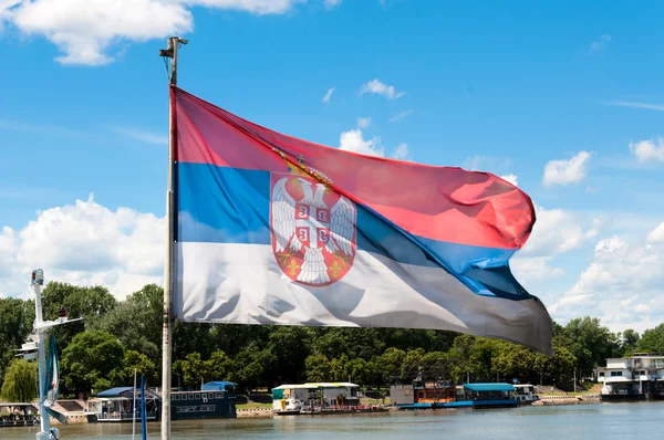 Сербський прапор — стокове фото