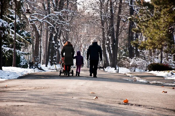 Winter family walk — Stock Photo, Image