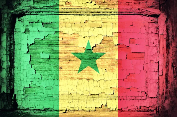 Senegal flag — Stock Photo, Image