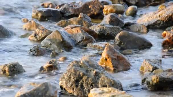 Mar e rochas — Vídeo de Stock