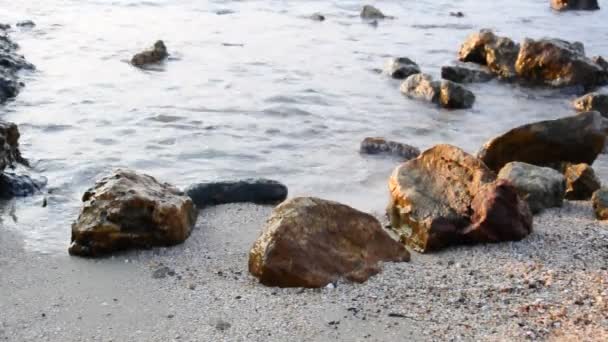 Zee en rotsen — Stockvideo