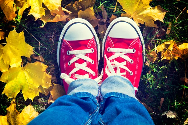 Schuhe in gelben Blättern — Stockfoto