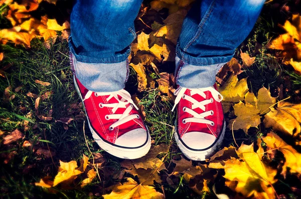 Rote Schuhe — Stockfoto