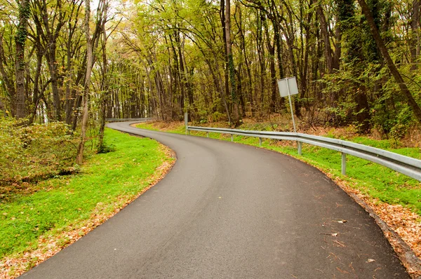 Orman yolu — Stok fotoğraf