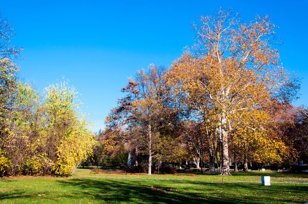 Vallen in park — Stockfoto