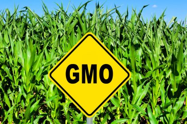 GMO sign clipart