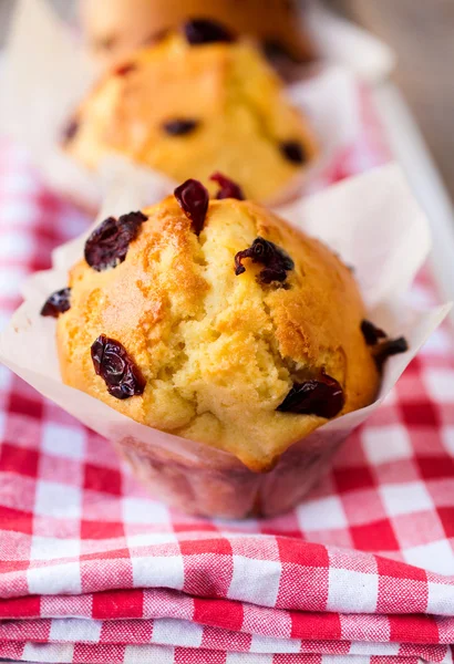 Domácí muffins — Stock fotografie