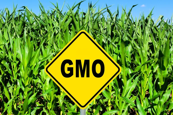 Sinal de OGM — Fotografia de Stock