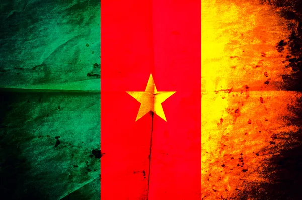 Cameroon flag — Stock Photo, Image