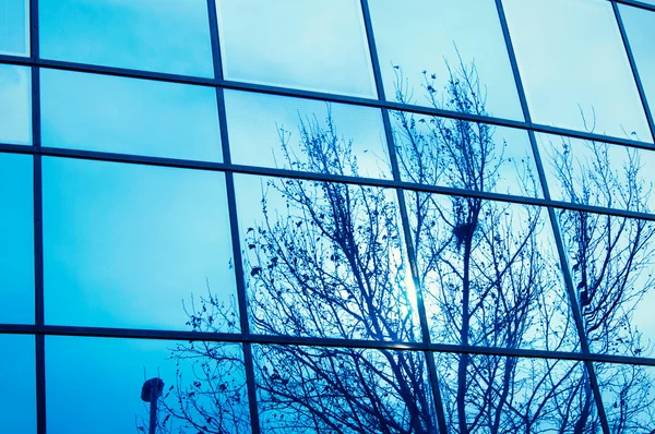 Blauwe windows — Stockfoto