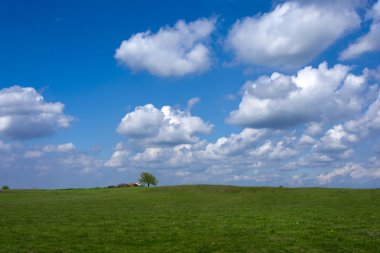 yeşil alan ve kabarık bulutlar