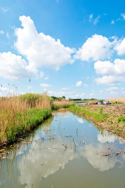 Serbischer Sumpf — Stockfoto