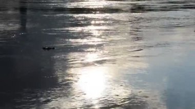 Göl üzerinde yansıma