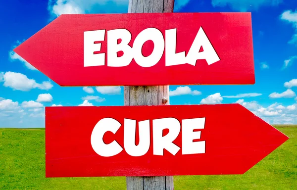 Conceito de ebola — Fotografia de Stock