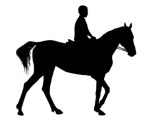 Pojke på häst — Stock vektor