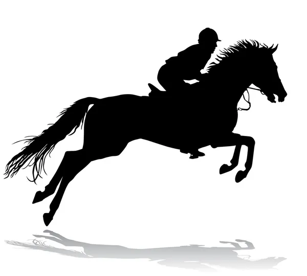 Rider on horse 3 — Stock Vector