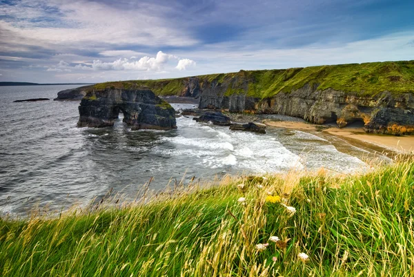 Falaises en Irlande — Photo