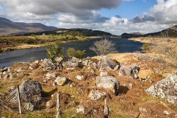 Ring of Kerry — Stock Fotó