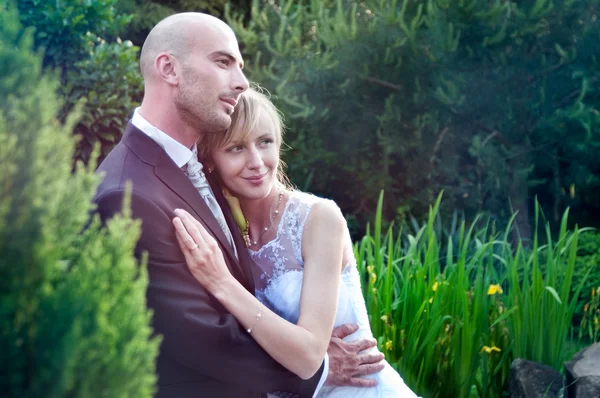 Pareja de boda — Foto de Stock