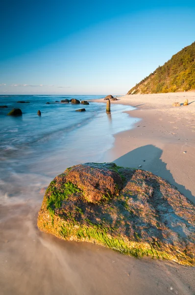 Sea Shore — Stock Photo, Image