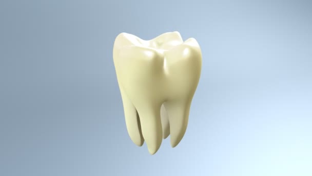 Концепция ухода за зубами. — стоковое видео