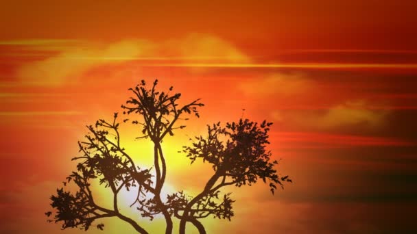 Ηλιοβασίλεμα δέντρο — Αρχείο Βίντεο