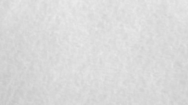白色纸张翻转阿尔法 — 图库视频影像