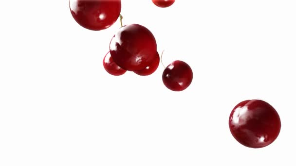 Cherry faller ner vit — Stockvideo