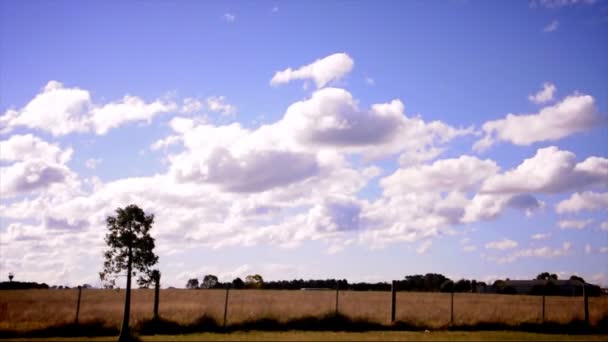 Campagna con bel cielo nuvoloso — Video Stock