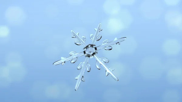 Schneekristalle Einzelfront — Stockfoto