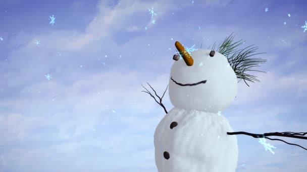 Muñeco de nieve cielo primer plano — Vídeo de stock