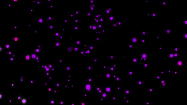 Rosa flare cirkel — Stockvideo