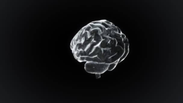 White X-ray Brain of biology — Stock Video