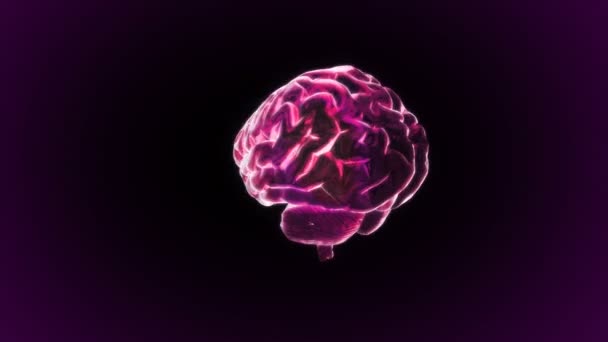 Красный рентгеновский мозг биологии — стоковое видео