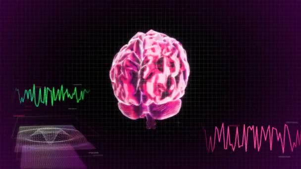 Red X-ray Brain diagram of technology — Stock Video