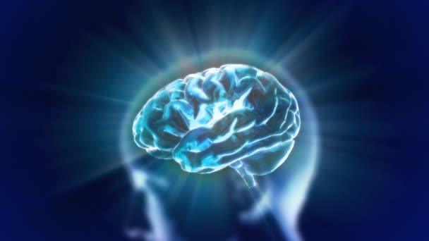 Röntga hjärnan blå utflytning av biologi — Stockvideo