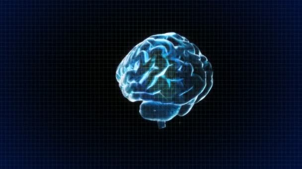 Рентгенівський мозок біології ЕКГ — стокове відео