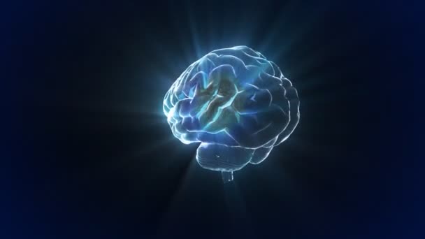 Faire pivoter les rayons X Cerveau de biologie 