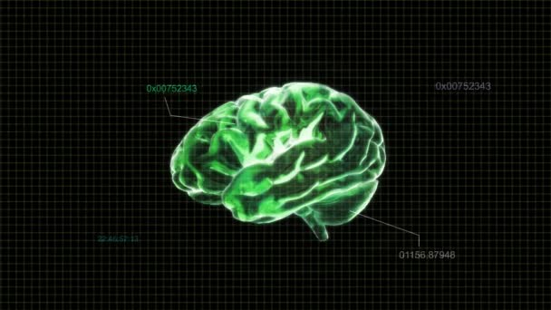 Radiografía verde Cerebro de biología — Vídeos de Stock