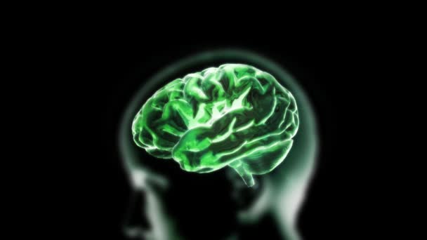 Cerveau à rayons X vert avec tête de biologie — Video