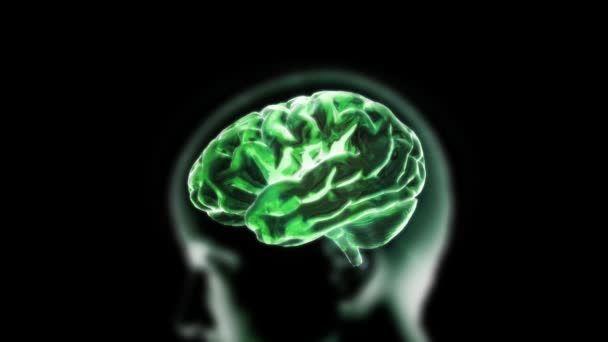 Zelený rentgen mozku s vedoucím biologie